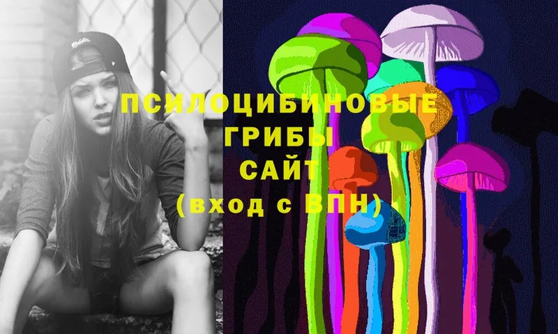 Галлюциногенные грибы Psilocybe  как найти   Покров 